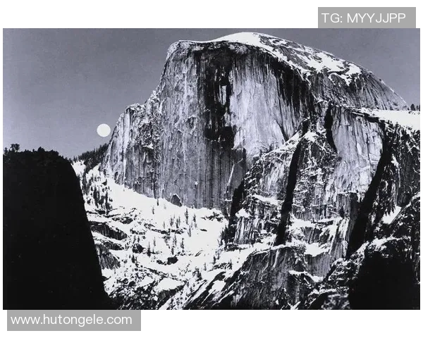 亚当斯的传奇人生与不凡成就探秘之旅